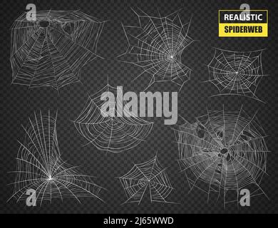 Ensemble réaliste de blanc sophistiqué Spiderwebs de diverses formes et tailles sur l'illustration vectorielle d'arrière-plan transparent foncé Illustration de Vecteur