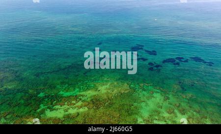 Célèbre plage de Salento dans la région des Pouilles dans le sud de l'Italie. La plage est considérée comme les Maldives de l'Italie. Les Maldives de Salento Banque D'Images