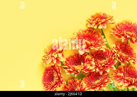 Bouquet de gerberas orange vif sur fond jaune. Fête des mères, jour de la Saint-Valentin, concept d'anniversaire. Vue de dessus, espace de copie pour le texte Banque D'Images