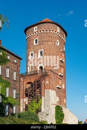 Tour Baszta Sandomierska, château royal de Wawel, Cracovie, Pologne Banque D'Images