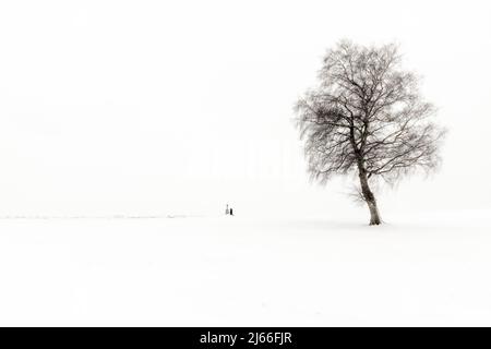 Einsame Frau nieend an Marterl mit Baum in Winterlandschaft, schwazweiss, Kaufbeuren, Ostallgaeu, Bayern, Allemagne Banque D'Images