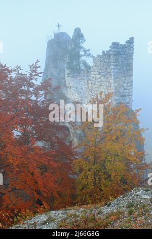 Ruine gebrochen Gutenstein im Nebel, Fels, Mischwald in Herbstfaerbung, Buchengewaechse (Fagaceae), Inzigkofen, Gutenstein, parc naturel Obere Donau Banque D'Images