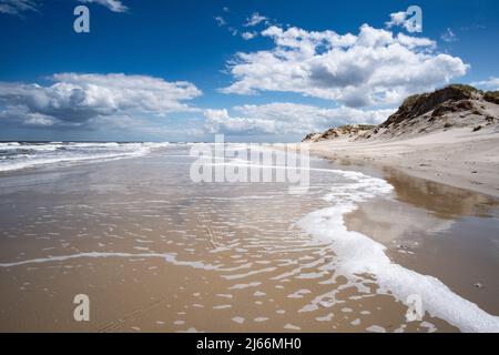 Impressionen von der Insel Borkum - einsamer Nordstrand, die Wellen spülen um die Füße. Banque D'Images