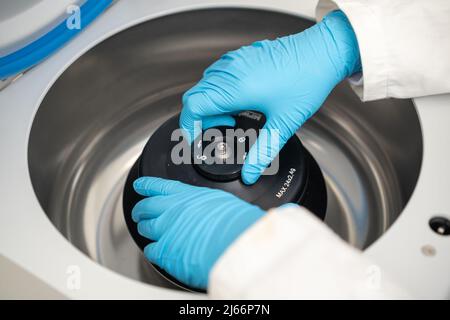 Une technicienne de laboratoire en gants de caoutchouc remplit une centrifugeuse et ferme le bouchon. Test d'ADN ou test de marqueur d'onlogie concept. Banque D'Images