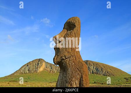 Moai A Vere Ki Haho également connu comme 'Moai itinérant' solitaire Moai à l'entrée de la plateforme cérémonielle AHU Tongariki, île de Pâques, Chili Banque D'Images