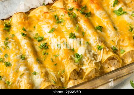 Enchiladas vert de Tomatillo mexicain maison avec poulet et Cilantro Banque D'Images