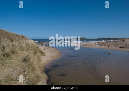 Image de paysage de la plage d'Embleton avec le château de Dunstanburgh sur son site en haut de la falaise à distance contre un ciel bleu clair Banque D'Images