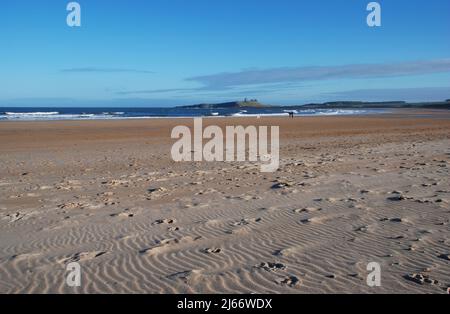 Paysage avec le château de Dunstanburgh à l'extrême distance avec le premier plan d'une large plage ouverte et deux personnages distants avec chien Banque D'Images