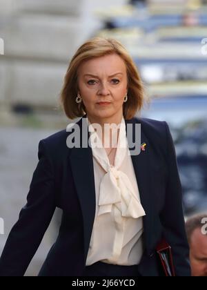 Londres, Royaume-Uni. 26th avril 2022. Le secrétaire aux Affaires étrangères Liz Truss arrive pour la réunion hebdomadaire du Cabinet au n° 10 Downing Street. Banque D'Images