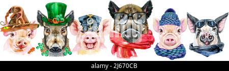 Bordure mignonne des portraits aquarelles de cochons. Illustration aquarelle de cochons en chapeau d'hiver, lunettes et foulard, chapeau de sorcière, chapeau de Saint Patrick avec c Banque D'Images