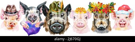 Bordure mignonne des portraits aquarelles de cochons. Illustration aquarelle de cochons dans une couronne de feuilles d'automne, chapeaux, chapeaux de père Noël, couronne dorée, violette Banque D'Images