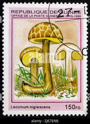 GUINÉE - VERS 1995 : un timbre imprimé en Guinée montre Leccinum nigrescens, Mushroom, vers 1995 Banque D'Images