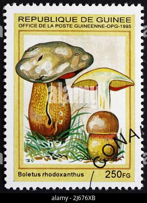 GUINÉE - VERS 1995 : un timbre imprimé en Guinée montre Boletus Rhodoxanthus, Mushroom, vers 1995 Banque D'Images