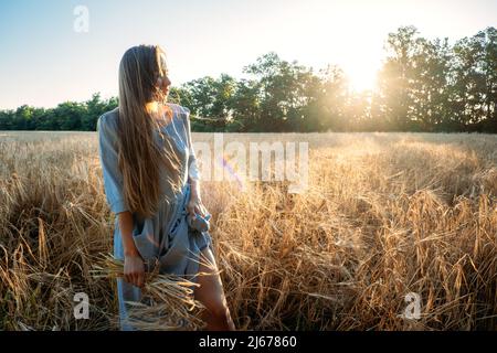 Ukrainienne jeune femme tenant une récolte de blé sur le terrain pendant la journée ensoleillée. Portrait sans visage d'une femme méconnaissable en robe de coton parmi les pointes Banque D'Images