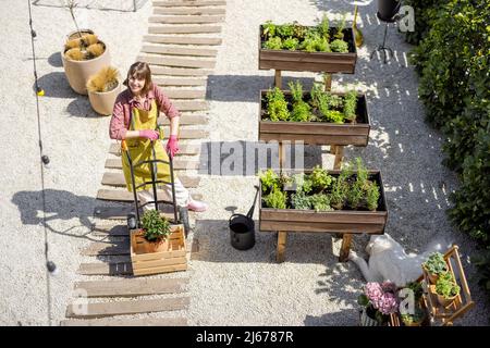 Vue d'en haut sur le potager de la maison et femme travaillant Banque D'Images