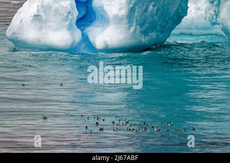 Antarctique, Péninsule Antarctique, Archipel de Palmer, chenal Neumayer - réchauffement de la planète - Paysage de conte de fées - Iceberg tabulaire dans le détroit de Bransfield Banque D'Images