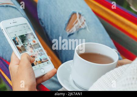 Joli créateur de contenu dans hamac utiliser smartphone regarder l'écran de chat dans les médias sociaux boire thé lire les nouvelles en ligne navigation photo en vacances, vue arrière Banque D'Images