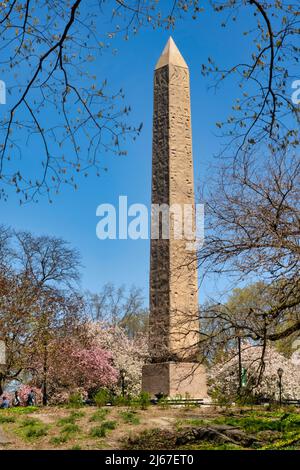 Cleopatra's Needle obélisque est entourée d'arbres qui fleurit au printemps, Central Park, NYC, USA Banque D'Images