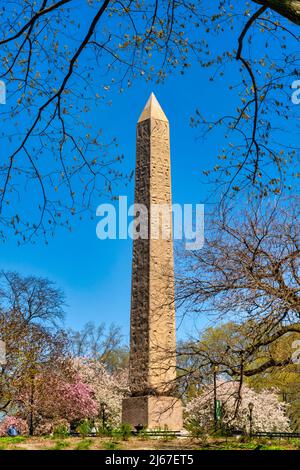 Cleopatra's Needle obélisque est entourée d'arbres qui fleurit au printemps, Central Park, NYC, USA Banque D'Images