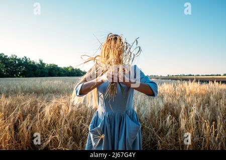 Ukrainienne jeune femme tenant une récolte de blé sur le terrain pendant la journée ensoleillée. Portrait sans visage d'une femme méconnaissable en robe de coton parmi les pointes Banque D'Images