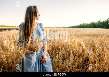 Ukrainienne jeune femme tenant une récolte de blé sur le terrain pendant la journée ensoleillée. Portrait sans visage d'une femme méconnaissable en robe de coton parmi les pointes Banque D'Images