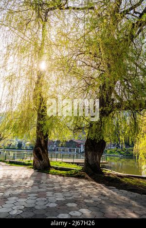 Dilijan, Arménie - 27 avril 2022 - sentier de randonnée le long du petit lac de Dilijan, Arménie, lors d'une belle journée de printemps Banque D'Images