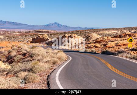 Overton, Nevada, États-Unis - 24 février 2010 : Vallée de feu. Route en asphalte noir avec diviseur jaune dans le désert sec sous ciel bleu clair. Arbustes o Banque D'Images