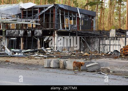 La station-service a été détruite à la suite d'une attaque russe contre l'Ukraine. La station-service a été détruite à la suite d'une attaque de missiles sur le territoire de l'Ukraine Banque D'Images
