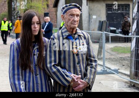 Auschwitz, Pologne. 28th avril 2022. Edward Mosberg (R), survivant de l'Holocauste, et son parent participent à la marche internationale annuelle de la vie à travers les terrains de l'ancien camp de la mort d'Auschwitz. À l'occasion de la Journée internationale de commémoration de l'Holocauste, des participants de différentes parties du monde participent à la marche des vivants. La marche des vivants est un hommage et un symbole de mémoire pour les victimes de l'Holocauste. Les participants à la marche couvrent ensemble le tronçon de trois kilomètres qui mène de la porte d'Arbeit Macht Frei à l'ancien camp allemand d'Auschwitz I à l'ancien camp d'Auschwitz II Banque D'Images