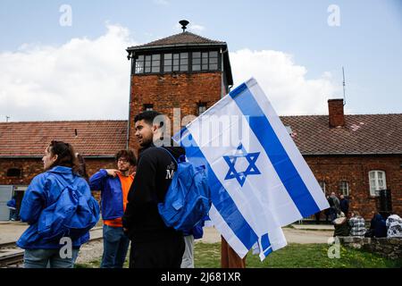 Auschwitz, Pologne. 28th avril 2022. Un participant à la Marche des vivants détient un drapeau d'Israël. À l'occasion de la Journée internationale de commémoration de l'Holocauste, des participants de différentes parties du monde participent à la marche des vivants. La marche des vivants est un hommage et un symbole de mémoire pour les victimes de l'Holocauste. Les participants à la marche couvrent ensemble le tronçon de trois kilomètres qui mène de la porte d'Arbeit Macht Frei à l'ancien camp allemand d'Auschwitz I à l'ancien site d'Auschwitz II - Birkenau. Crédit : SOPA Images Limited/Alamy Live News Banque D'Images