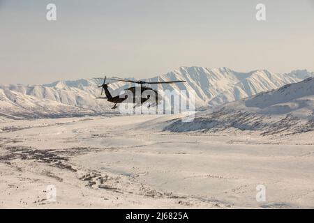 Les gardes nationaux de l'Armée de l'Alaska avec le bataillon de soutien général de l'aviation 2-211th se déplacent de la base interarmées Elmendorf-Richardson à Nome, en Alaska, via l'hélicoptère UH-60L Black Hawk le 11 avril 2022. Les hélicoptères UH-60L Black Hawk resteront à Nome pour la Golf Company, détachement 1, 2-211th GSAB pour effectuer un entraînement annuel et de l'aide à River Watch au besoin ce printemps. En cas d'inondations importantes ou d'autres situations d'urgence dans les environs, les hélicoptères fourniront un soutien à la demande de l'État. (Photo de la Garde nationale de l’Alaska par 1st Lt. Balinda O’Neal) Banque D'Images