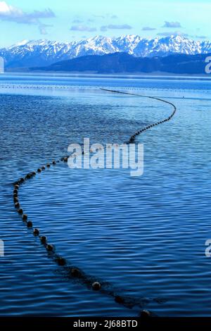 Lac Tai mei Sayram Banque D'Images