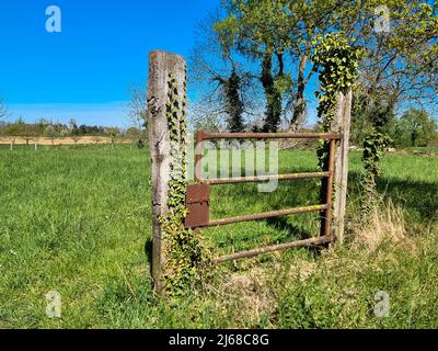 Vieille porte en fer rouillé entre deux poteaux en bois. Entrée à la belle prairie avec de l'herbe verte et des arbres dans la nature. Banque D'Images