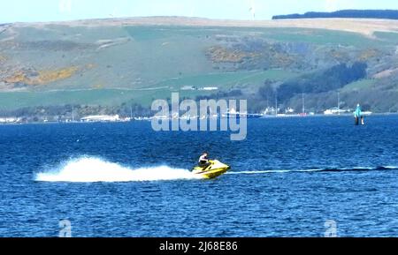 Loch Ryan (Écosse), scooter des mers Banque D'Images