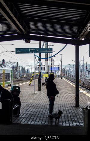 Varsovie, Pologne. 29th avril 2022. 29 avril 2022, Varsovie, Varsovie, Pologne : réfugiée ukrainienne avec ses deux chats et chien, à bord d'un train se lançant à Berlin. (Credit image: © Bianca Otero/ZUMA Press Wire) Credit: ZUMA Press, Inc./Alamy Live News Banque D'Images