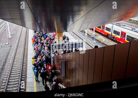 Varsovie, Pologne. 29th avril 2022. 29 avril 2022, Varsovie, Varsovie, Pologne : réfugiée ukrainienne avec ses deux chats et chien, à bord d'un train se lançant à Berlin. (Credit image: © Bianca Otero/ZUMA Press Wire) Credit: ZUMA Press, Inc./Alamy Live News Banque D'Images