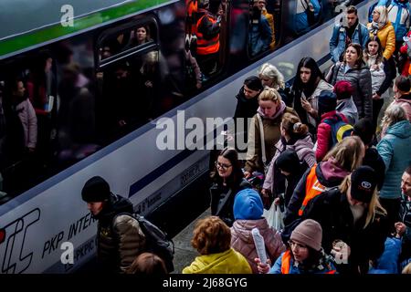 Varsovie, Pologne. 29th avril 2022. 29 avril 2022, Varsovie, Varsovie, Pologne : réfugiée ukrainienne avec ses deux chats et chien, à bord d'un train se lançant à Berlin. (Credit image: © Bianca Otero/ZUMA Press Wire) Credit: ZUMA Press, Inc./Alamy Live News Banque D'Images