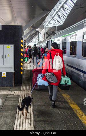 Varsovie, Pologne. 29th avril 2022. 29 avril 2022, Varsovie, Varsovie, Pologne : réfugiée ukrainienne avec ses deux chats et chien, à bord d'un train se lançant à Berlin. (Credit image: © Bianca Otero/ZUMA Press Wire) Credit: ZUMA Press, Inc./Alamy Live News Banque D'Images