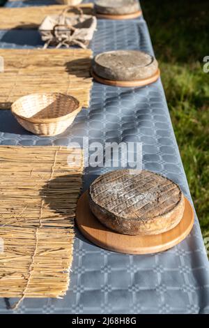 Fromage de l'agriculteur Saint-Nectaire sur table, France, Auvergne, Sancy Banque D'Images