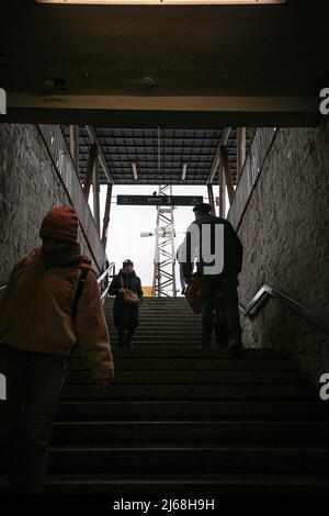 Varsovie, Pologne. 29th avril 2022. 29 avril 2022, Varsovie, Varsovie, Pologne : réfugiée ukrainienne avec ses deux chats et chien, à bord d'un train se lançant à Berlin. (Credit image: © Bianca Otero/ZUMA Press Wire) Credit: ZUMA Press, Inc./Alamy Live News Banque D'Images