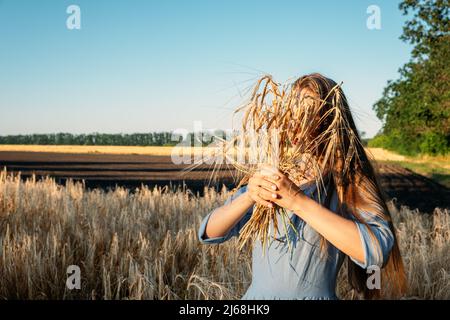 Ukrainienne jeune femme tenant une récolte de blé sur le terrain pendant la journée ensoleillée. Portrait sans visage d'une femme méconnaissable en robe de coton parmi les pointes Banque D'Images