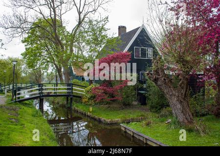 Maison traditionnelle dans le village historique de Zaanse Schans sur la rivière Zaan aux pays-Bas Banque D'Images