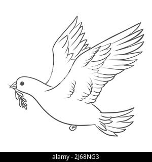 La paix est en paix avec une branche d'olive dans le bec volant et les mains vers le bas. Illustration vectorielle Illustration de Vecteur