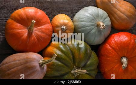 Ensemble de citrouilles différentes sur fond en bois ancien. Différentes variétés. Citrouille orange, verte et grise. Récolte d'automne. Nourriture pour Halloween et Thanksgiving. Banque D'Images