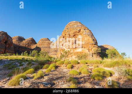 Un dôme karstique en grès typique en forme de dôme au parc national de Purnululu ou Bungle Bungles, site classé au patrimoine mondial de l'UNESCO dans les Kimberley, en Australie occidentale, Banque D'Images