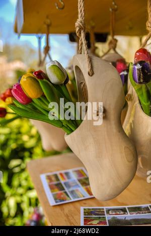 Lisse, pays-Bas, avril 2022. Sabots et tulipes en bois, souvenirs de la Hollande. Photo de haute qualité Banque D'Images