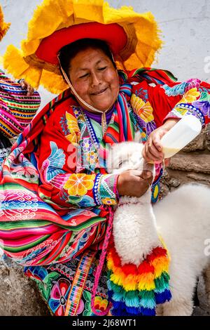 Une femme indigène en costume traditionnel nourrit son animal Alpaca un peu de lait en bouteille dans la région de San Blas de Cusco, province de Cusco, Pérou. Banque D'Images