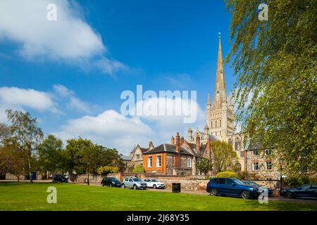 Printemps midi à la clôture à Norwich, Norfolk, Angleterre. Banque D'Images