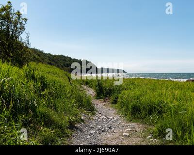 Belle côte verte de la mer baltique dans le nord de l'Allemagne. Paysage de Mecklembourg-Poméranie-Occidentale au Cap Arkona avec la mer Baltique. Banque D'Images