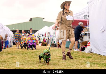 Buda, Texas 2022 Wiener Dog Festival Banque D'Images